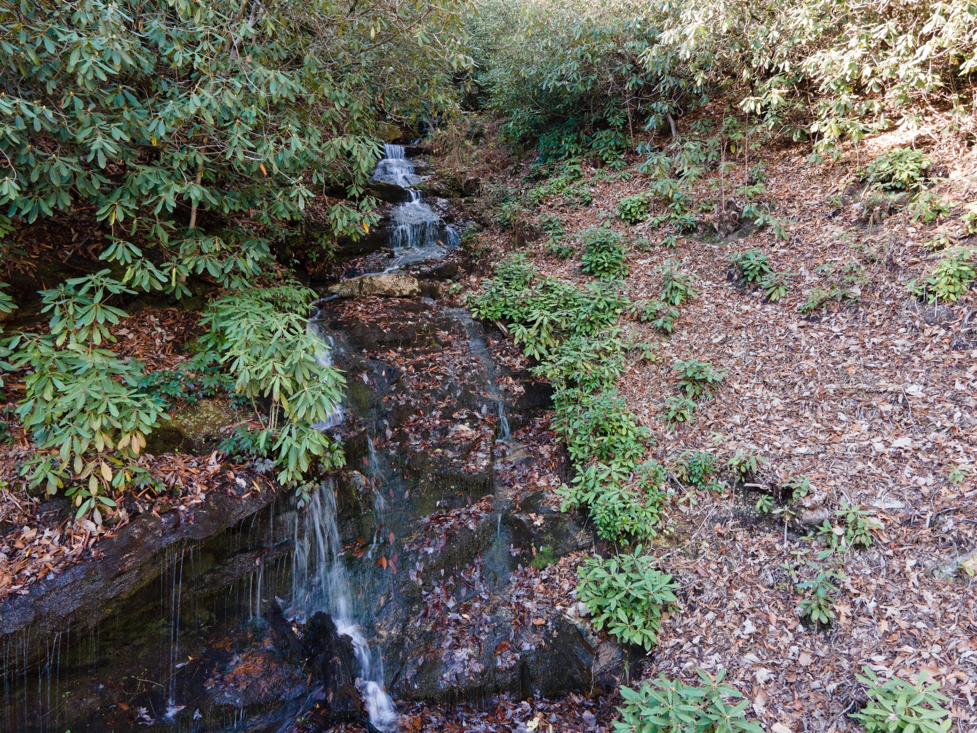 DJI_0940
